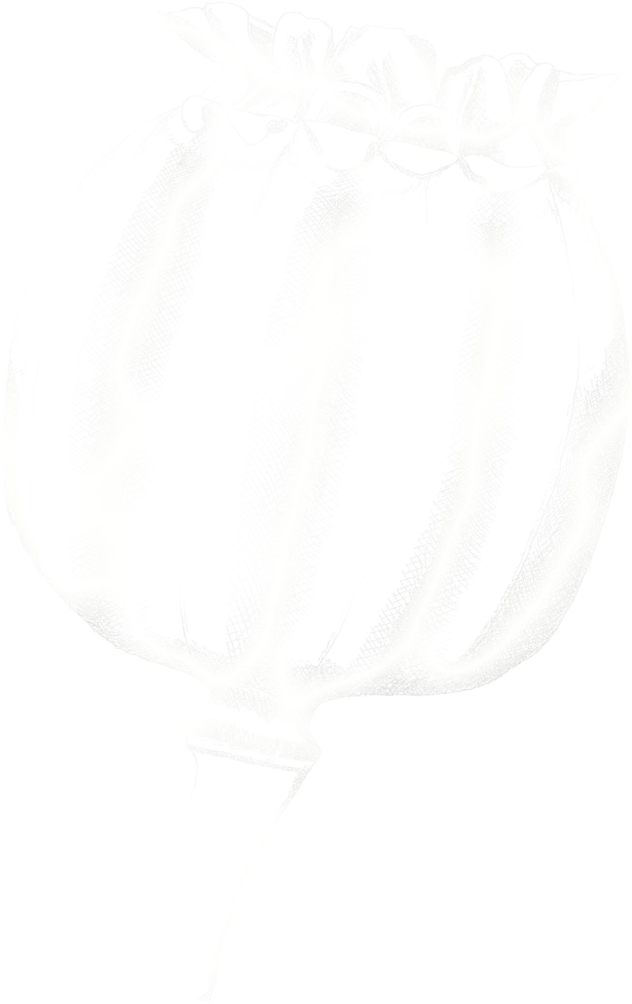 Earthpod Collective